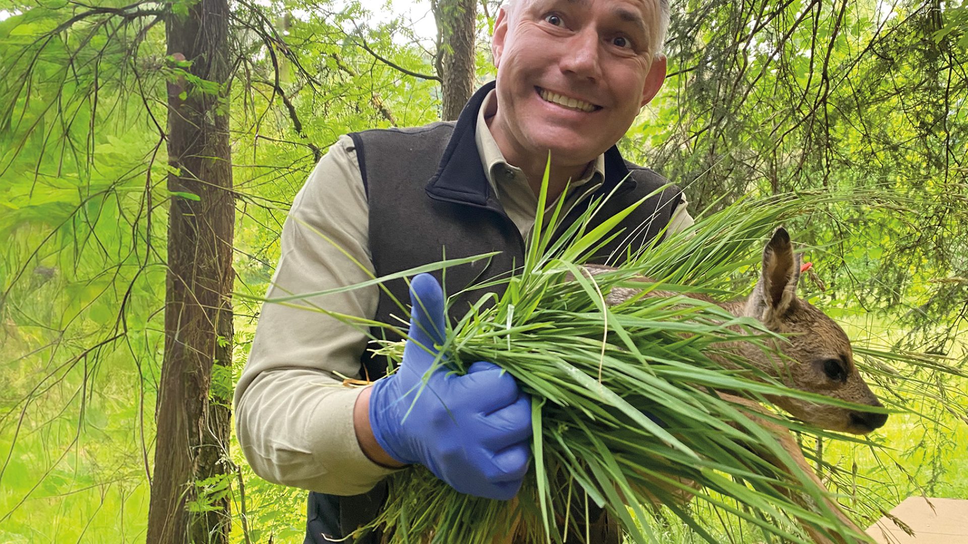 Kitzrettung2_ENHANCED